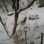 Водопад (Прудники), январь 2016