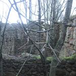 Усадьба Карчевских: бровар? (Бенюны), октябрь 2011