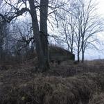 Немецкие укрепления Первой Мировой войны (Бенюны), октябрь 2011