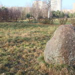 Валун Дед (Минск), октябрь 2014