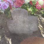 Каменные кресты (Туров), октябрь 2011