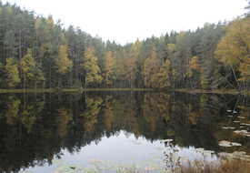 Озеро Мертвое