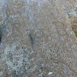 Каменный крест Стефана Батория (Минск), октябрь 2014