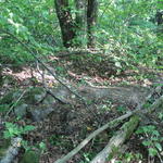 Курганный могильник (Хоруженцы), июнь 2015