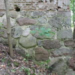 Усадьба Тышкевичей: дворец (Рудня), август 2015