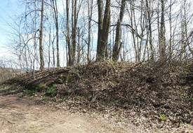 Усадебный дом (Высокое)