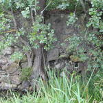 Водяная мельница (Узла), август 2013