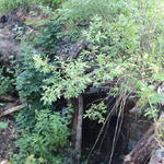 Почтовая станция (Раков), июль 2012