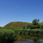 Городище (Лукомль), июль 2015