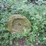 Водяная мельница (Яцыны), июнь 2015