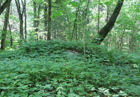 Курганный могильник (Буды)