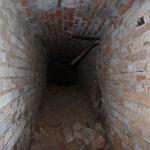 Дворец Радзивиллов (Полонечка), май 2012