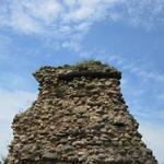 Кревский замок (Замок Ольгерда) (Крево), июнь 2010