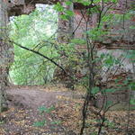 Усадьба Тышкевичей: дворец (Рудня), август 2015