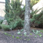 Каменный крест (Минск), март 2015