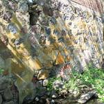 Водяная мельница (Новый Свержень), май 2012