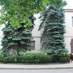 Старый замок (Замок Витовта) (Гродно), июль 2012